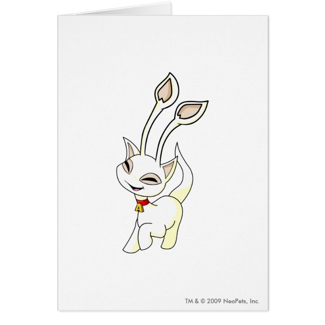 Cartão Branco de Aisha (Frente)