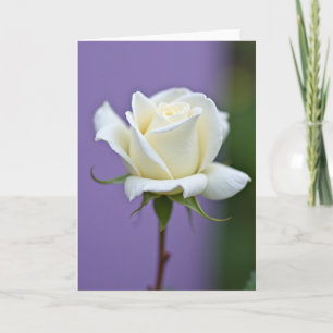 Cartão Branco de Flor de Bolinhas