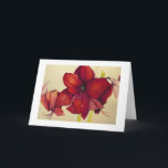 Cartão branco de pintura da beira do Amaryllis<br><div class="desc">PRLimages é uma divisão das pinturas por Rachel Lowry.</div>
