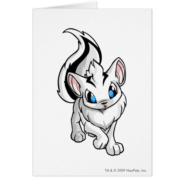 Cartão Branco de Xweetok (Frente)