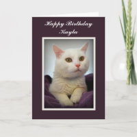 Cartão branco do gato do feliz aniversario de