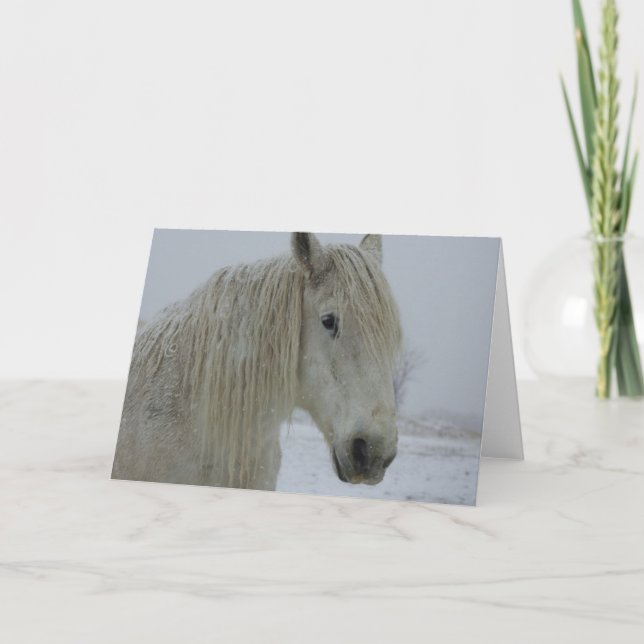 Cartão Branco do inverno (Frente)