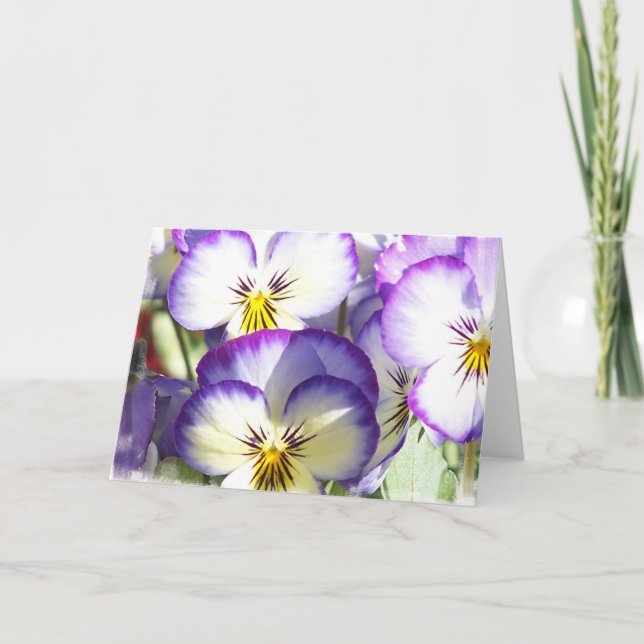 Cartão branco e roxo das violas (Frente)