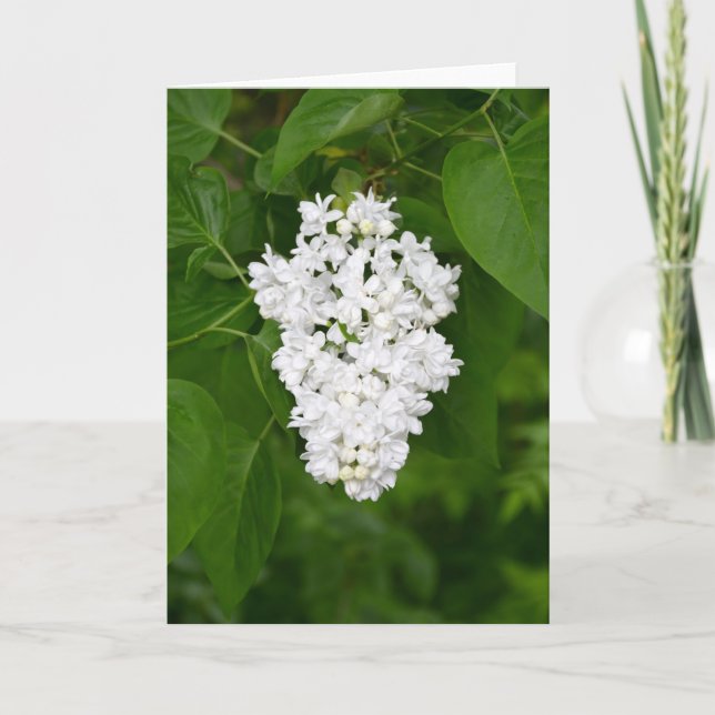 Cartão branco para flores (Frente)