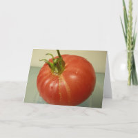 Brandywine Tomato
