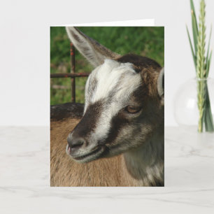 Cartão Braveheart the Goat