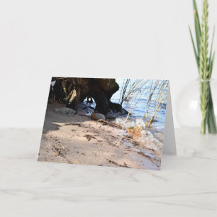 Cartão Breakers, Beachlife