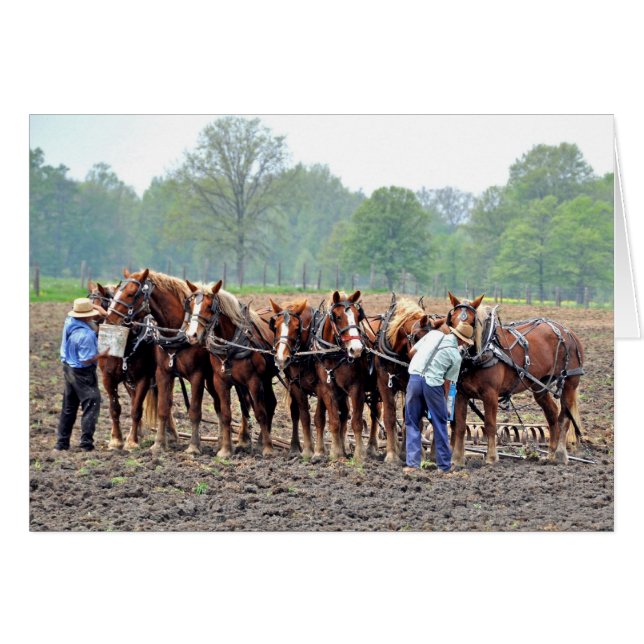 Cartão Breaktime (Frente Horizontal)