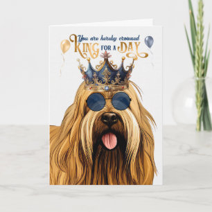 Cartão Briard Dog King para um dia de aniversário engraça