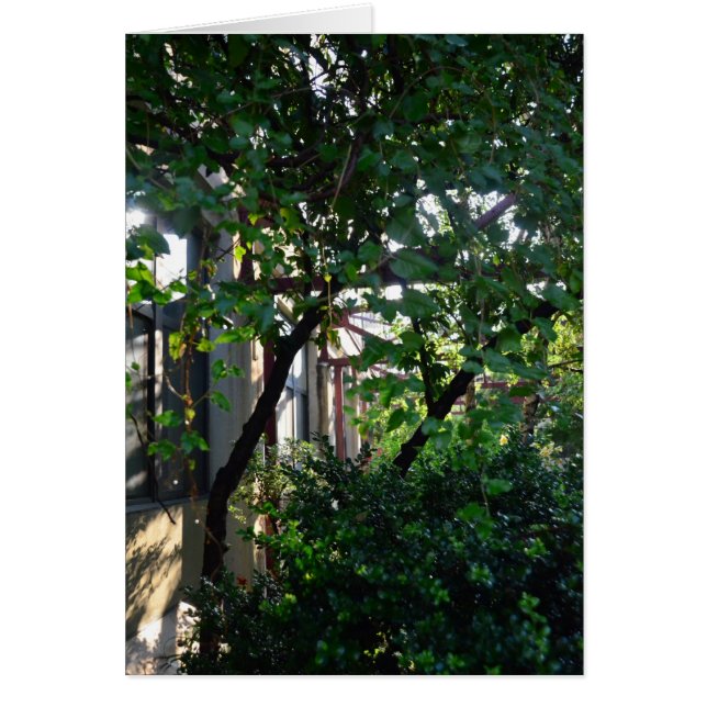 Cartão Brickbottom Couryard (Frente)