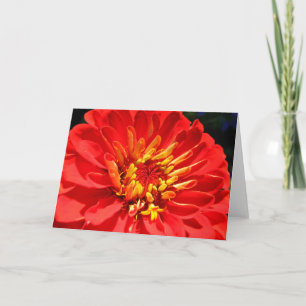Cartão Bright flowers collection greeting card (blank)
