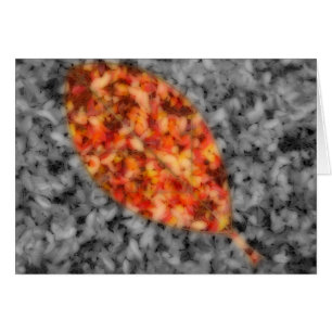 Cartão Bright Shadows Card