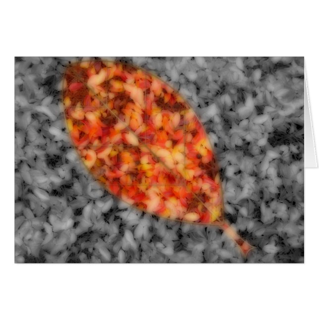 Cartão Bright Shadows Card (Frente Horizontal)