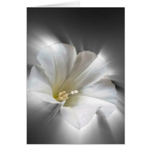 Cartão Brilhando no escuro