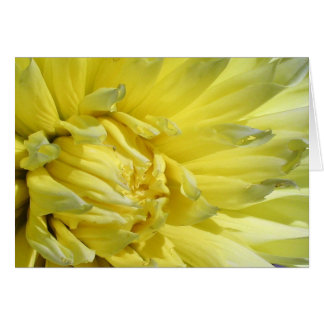 Cartão Brilho, Lemon Yellow Dahlia