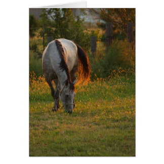 Cartão Brilho Quente