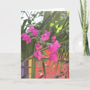 Cartão Brilliant Bougainvillea