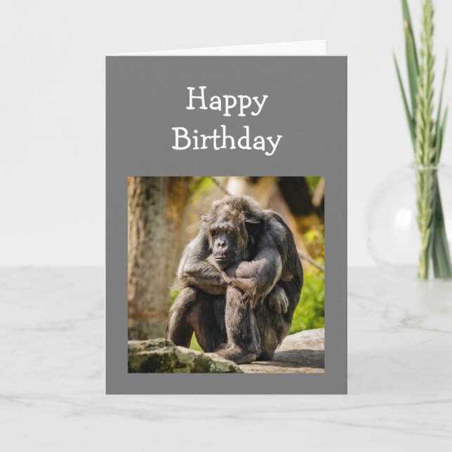 Cartão Brincadeira Jovem Uma Vez Deprimido Gorilla Animal (Frente)