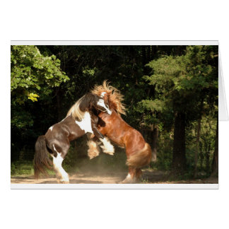 Cartão Brincando ao Sol