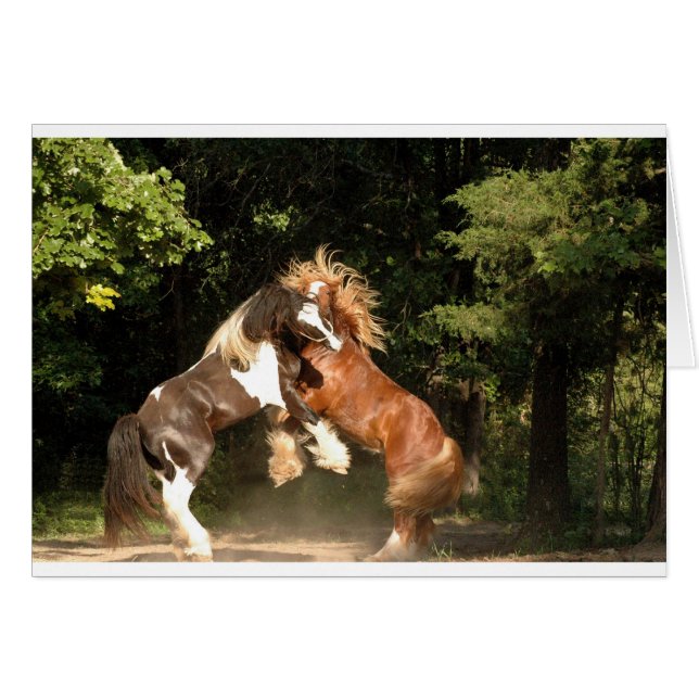 Cartão Brincando ao Sol (Frente Horizontal)