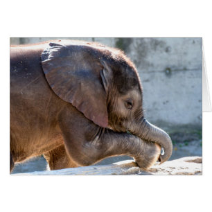 Cartão Brincando de Elefante para Bebê