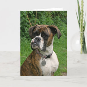 Cartão Brindle and White Boxer Dog Greeting Card
