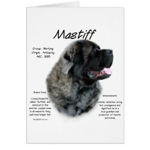 Cartão Brindle Fluffy Mastiff Histórico