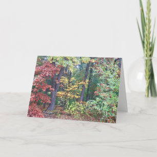 Cartão Brister's Hill, Concord MÃE