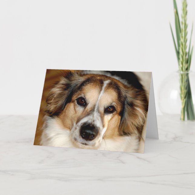 Cartão Bristol (Frente)