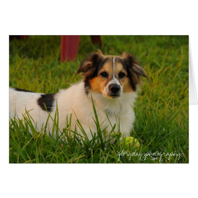 Cartão Bristol (Frente Horizontal)