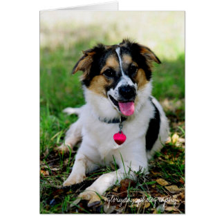 Cartão Bristol como um cachorrinho, gloriidasfotografia