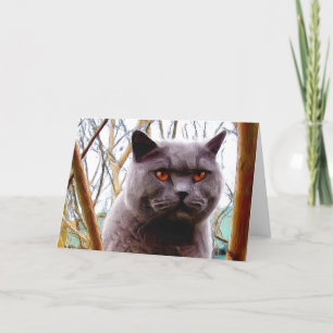 Cartão British Blue Cat greeting card
