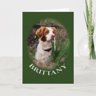 Cartão Brittany Note Card