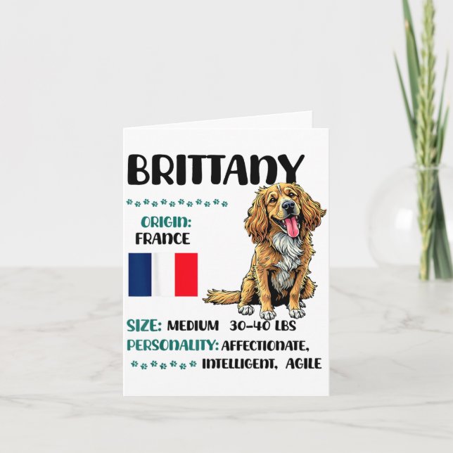 Cartão Brittany Origin Funny Brittany Dog Lover  (Frente)