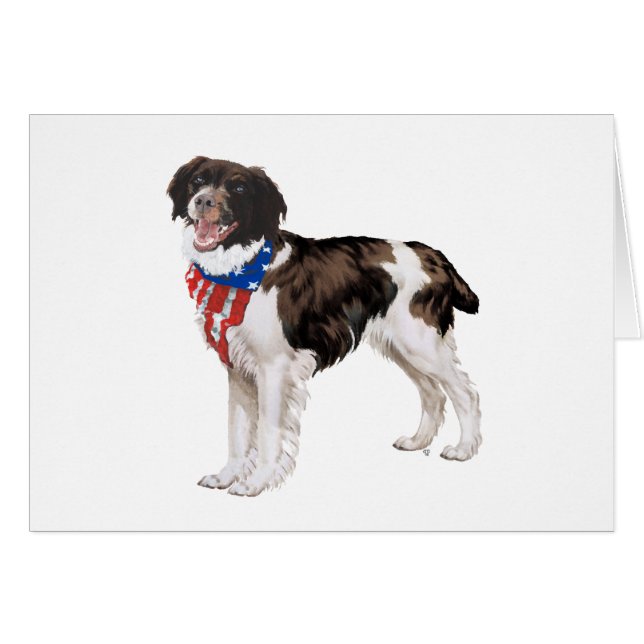 Cartão Brittany Patriótica (Frente Horizontal)