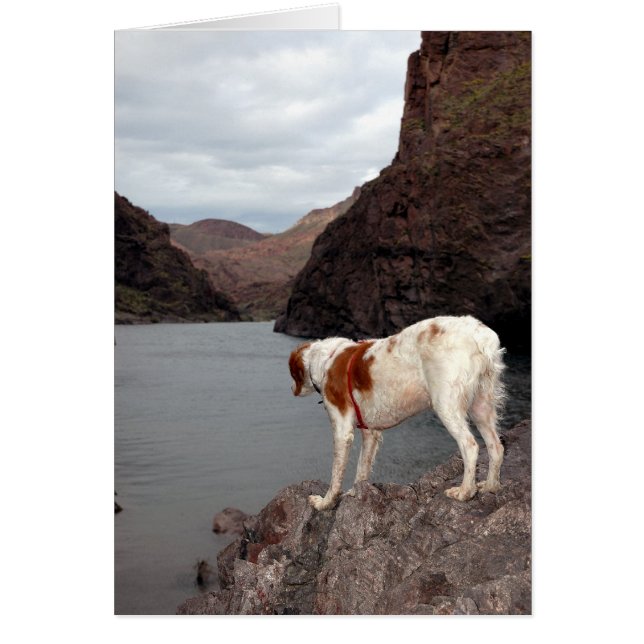 CARTÃO BRITTANY SOBRE O RIO COLORADO (Frente)