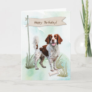 Cartão Brittany Spaniel Breve Dog Sob Sinal De Aniversári