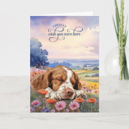 Cartão Brittany Spaniel Dog Wildflowers Miss You