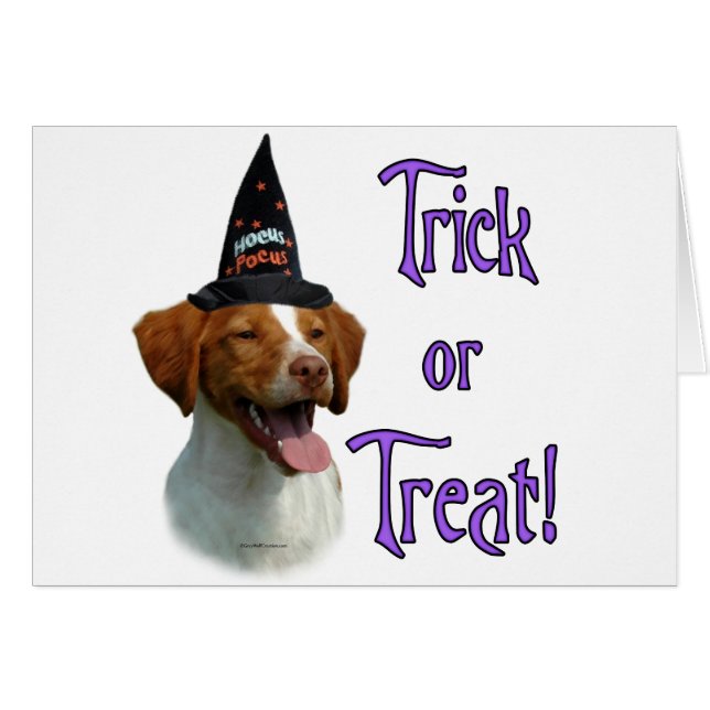 Cartão Brittany Spaniel Trick (Frente Horizontal)