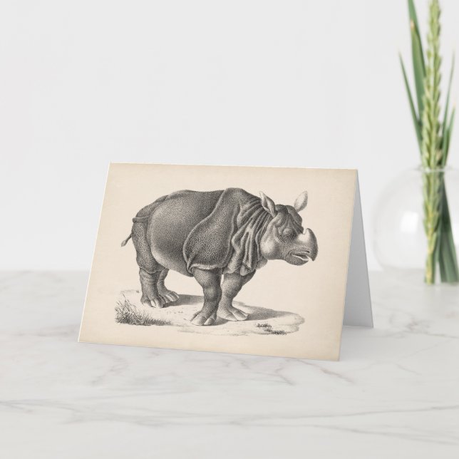 Cartão Brodtmann Rhinoceros Sketch (Frente)