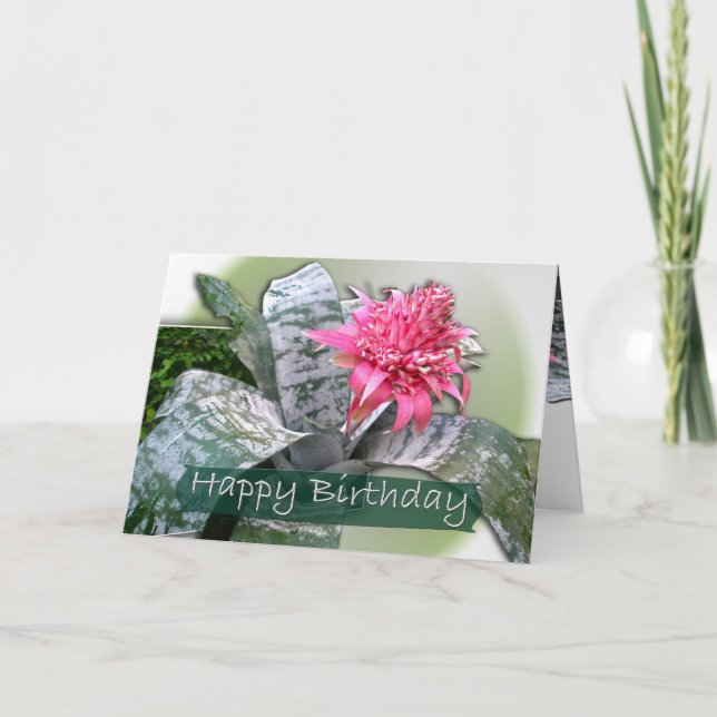 Cartão Bromélia Rosa de Aniversário (Frente)