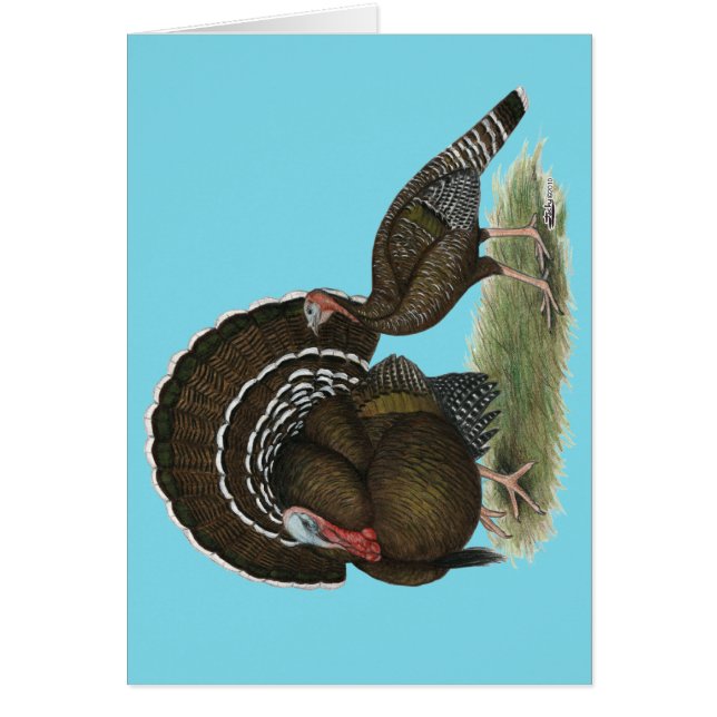 Cartão Bronze padrão da Turquia (Frente)