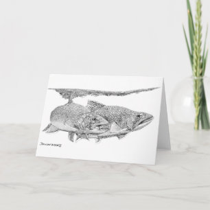 Cartão Brook Trout