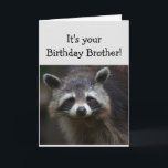 Cartão BROTHER Divertido Idade Humor Sad Raccoon Humor<br><div class="desc">Aniversário Blahs para sua Idade da Diversão IRMÃ Você é lixo para mim Arte animal humorada e deprimida</div>