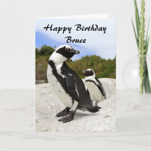 Cartão Bruce Happy Birthday African Penguins Humor Card