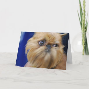 Cartão Brussels Griffon Dog Greeting Card