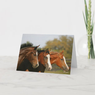 Cartão BTtrês Cavalos Trimestrais Executando Capturas de