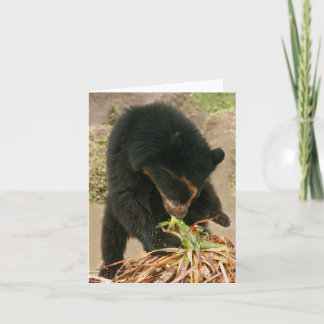 Cartão Bubu Notecard PB1