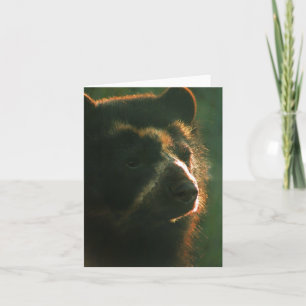 Cartão Bubu Notecard PB2