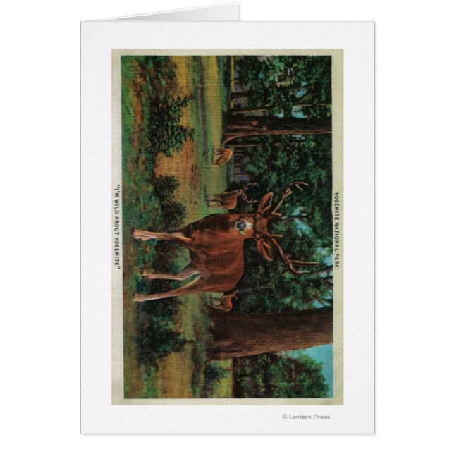 Cartão Buck Deer no Parque Nacional de Yosemite (Frente)